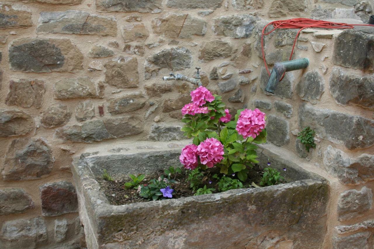 Landhuis Mas Tulsa Girona Riudellots de la Creu